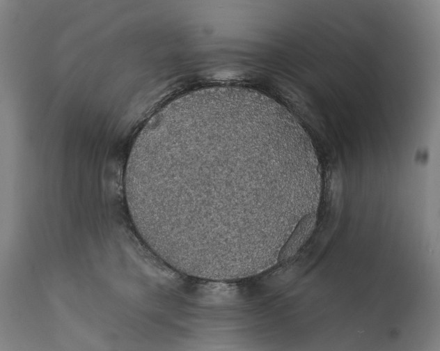 X0000111590421200908061354