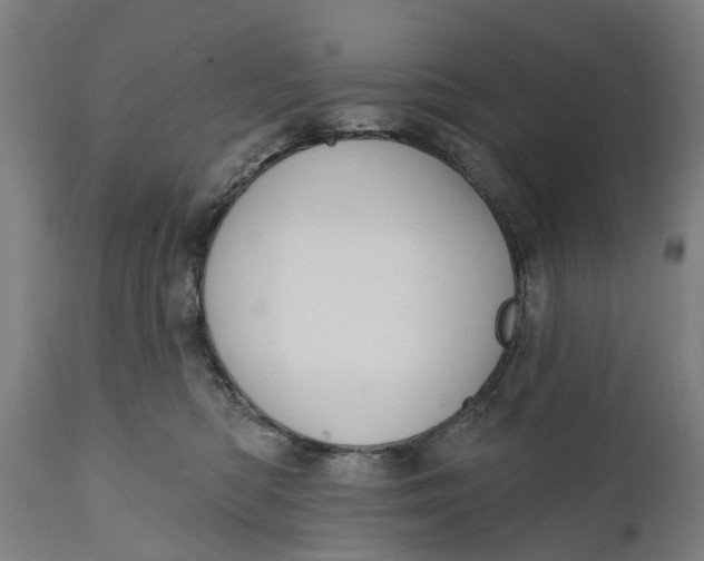 X0000111590422200908061354