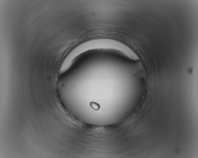 X0000111590423200908061354