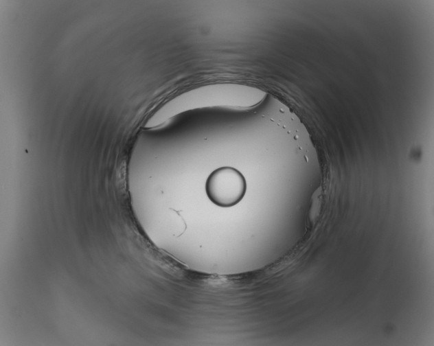 X0000111590425200908061354