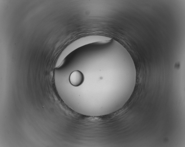 X0000111590427200908061354