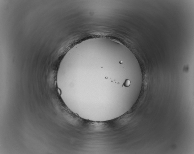 X0000111590428200908061354