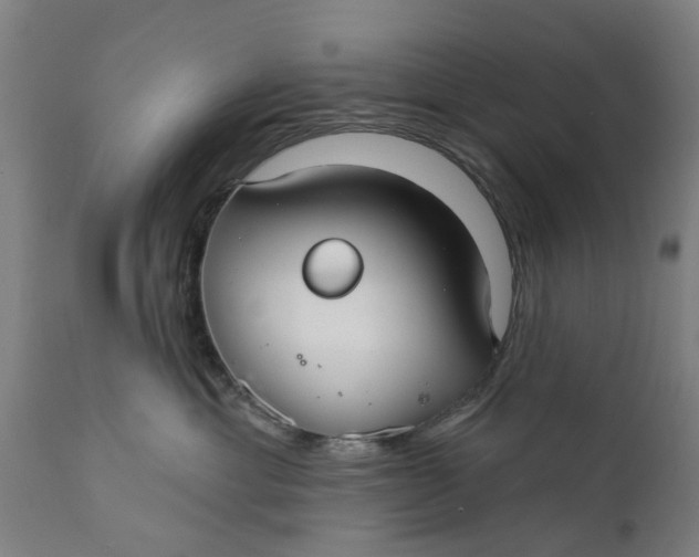 X0000111590429200908061354