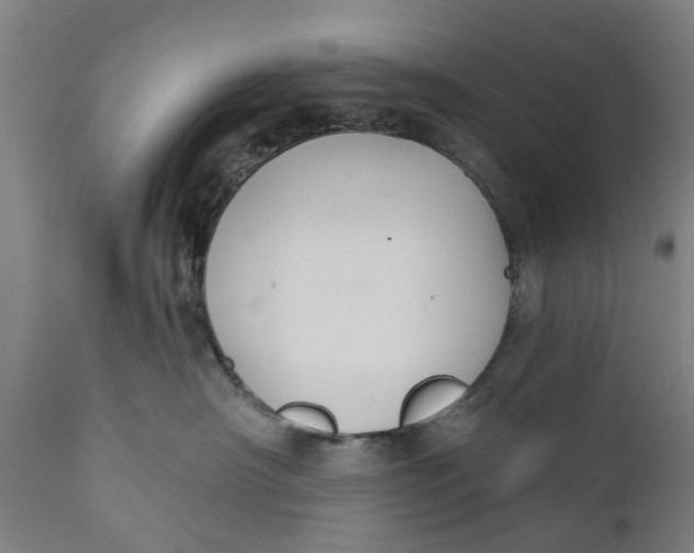 X0000111590430200908061354