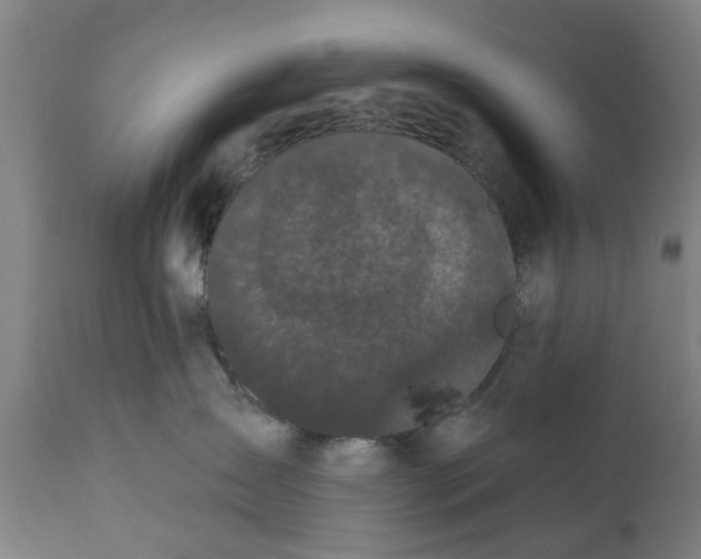 X0000111590431200908061354