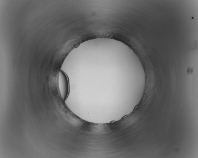 X0000111590432200908061354