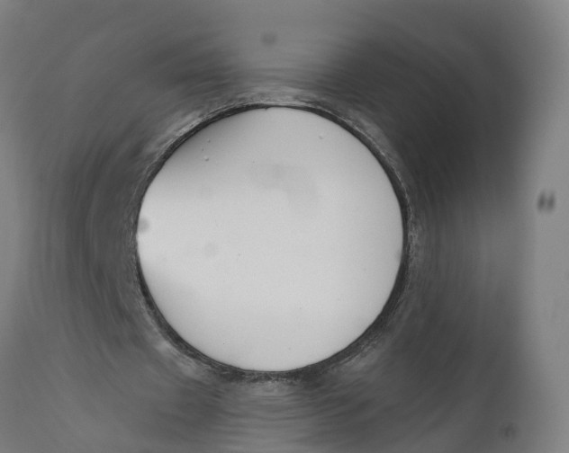 X0000111590433200908061353