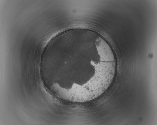 X0000111590434200908061353