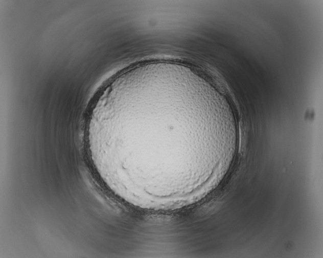 X0000111590435200908061353