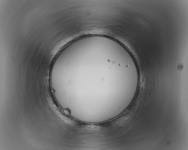 X0000111590437200908061353