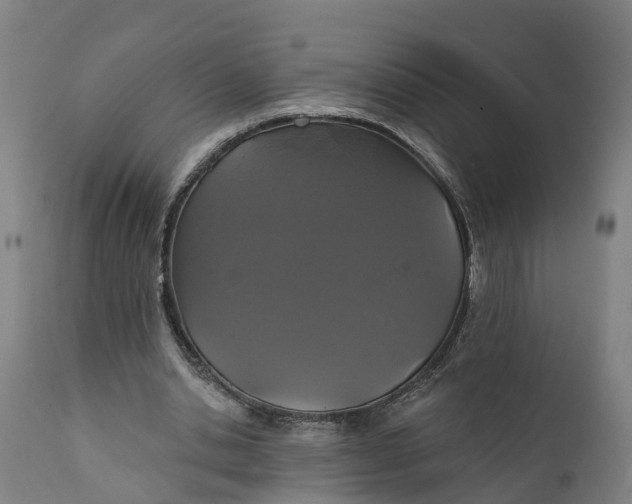 X0000111590438200908061353