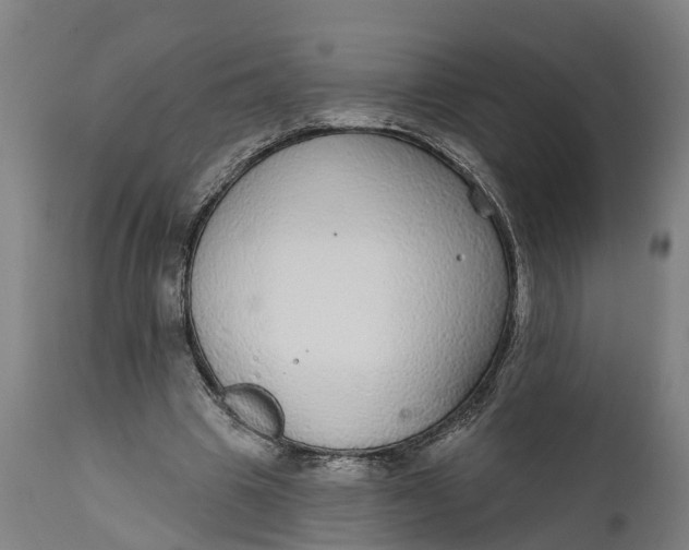 X0000111590441200908061353