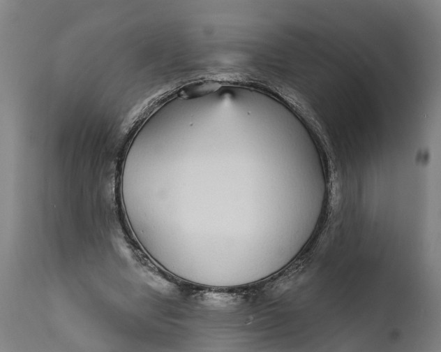 X0000111590442200908061353