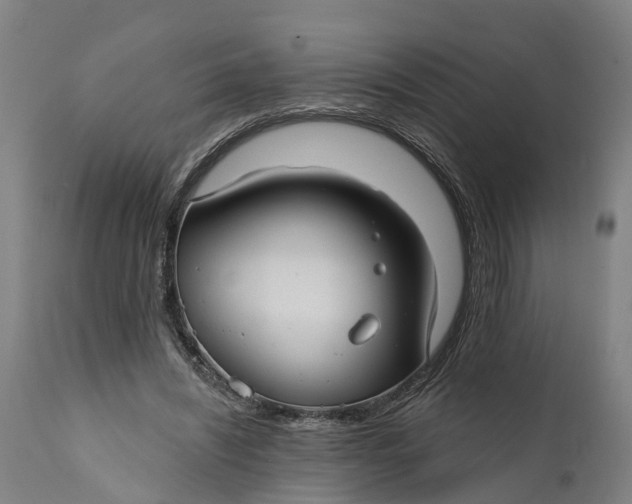 X0000111590444200908061353