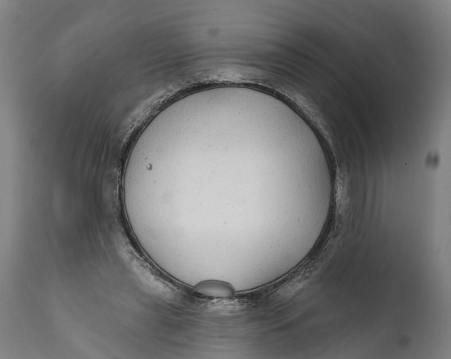 X0000111590445200908061353