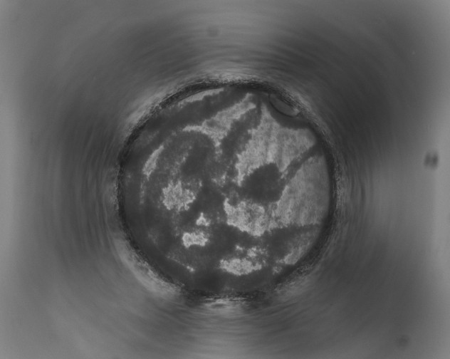 X0000111590447200908061353