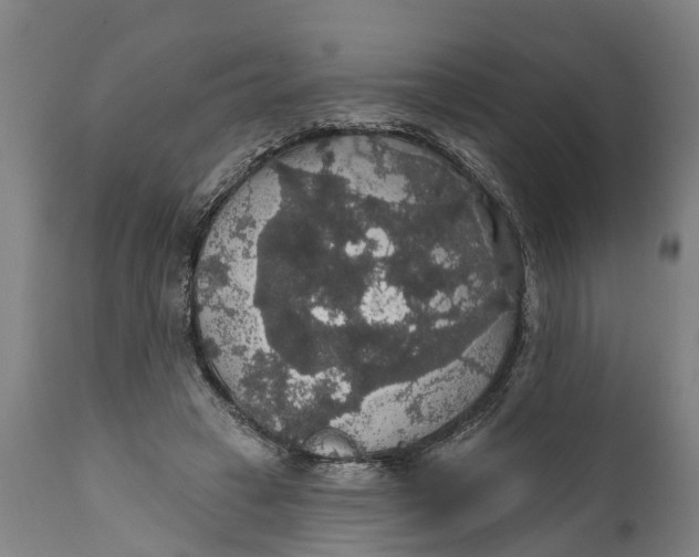 X0000111590449200908061353