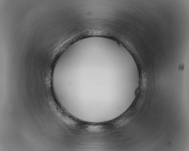 X0000111590450200908061354