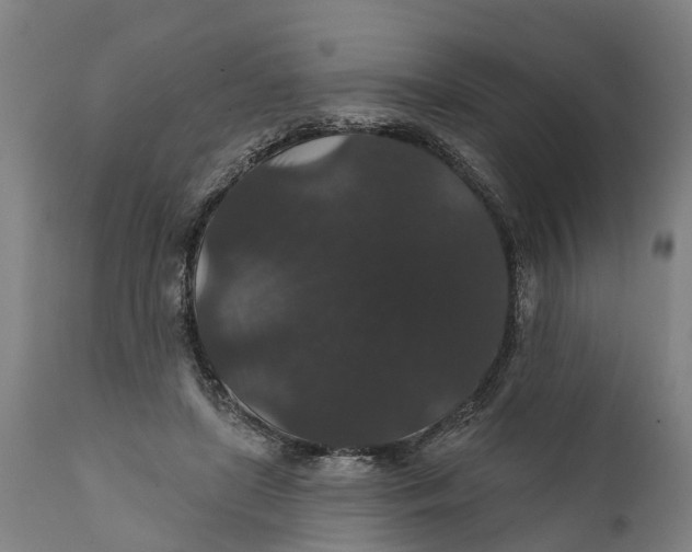 X0000111590451200908061354