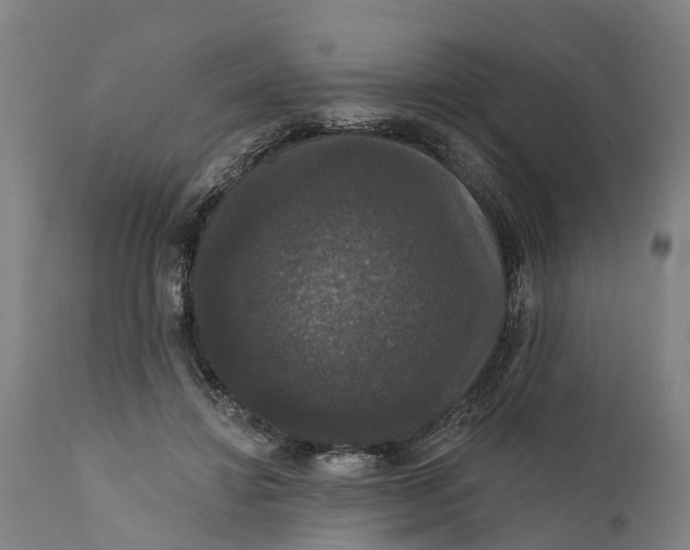 X0000111590452200908061354