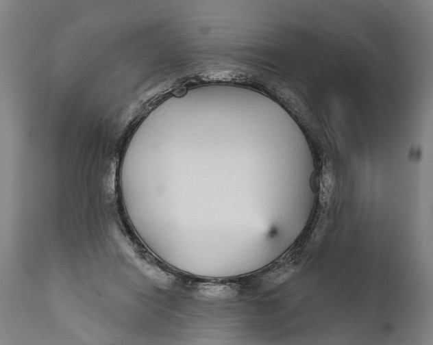 X0000111590454200908061354