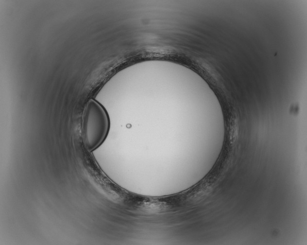 X0000111590455200908061354