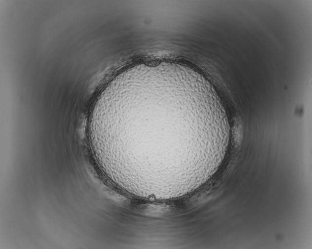 X0000111590458200908061354