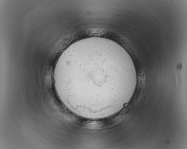 X0000111590460200908061354