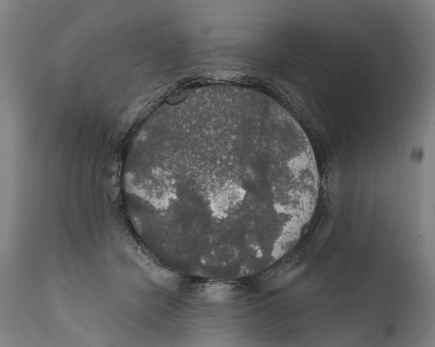 X0000111590462200908061354