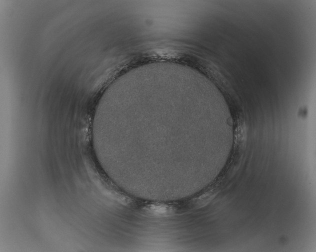 X0000111590464200908061354