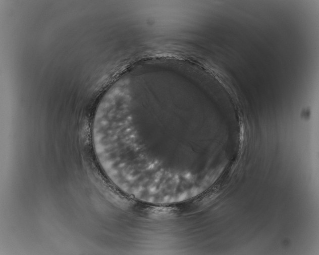 X0000111590465200908061354