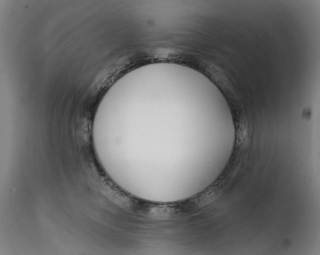 X0000111590470200908061354