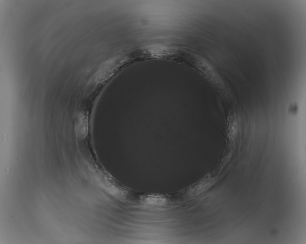 X0000111590471200908061354