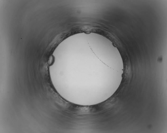 X0000111590473200908061354