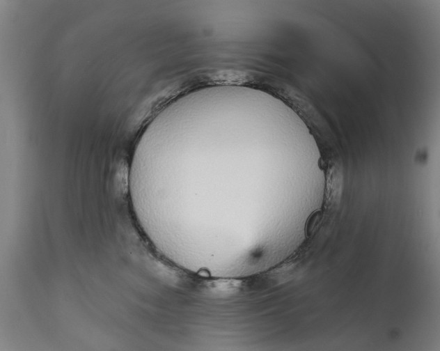 X0000111590474200908061354