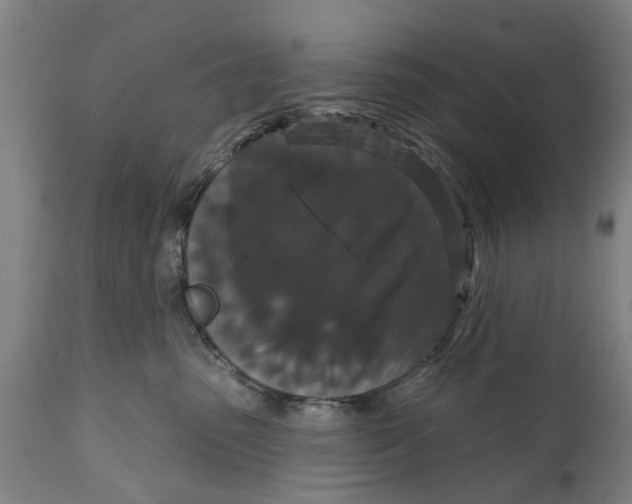 X0000111590475200908061354