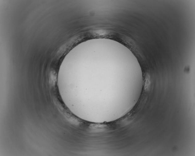 X0000111590476200908061354