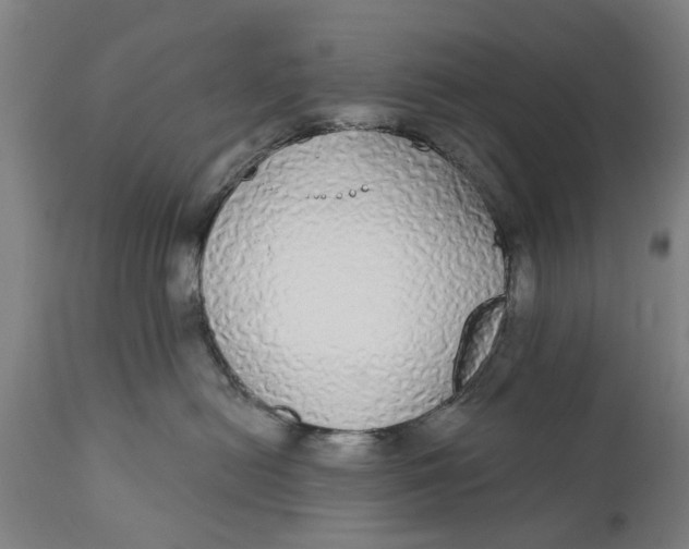 X0000111590478200908061354