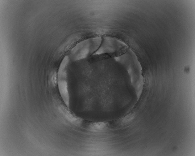 X0000111590479200908061354