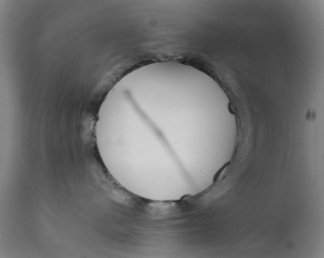 X0000111590480200908061354