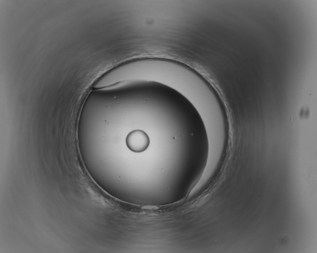 X0000111590481200908061353