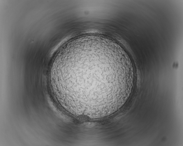 X0000111590482200908061353