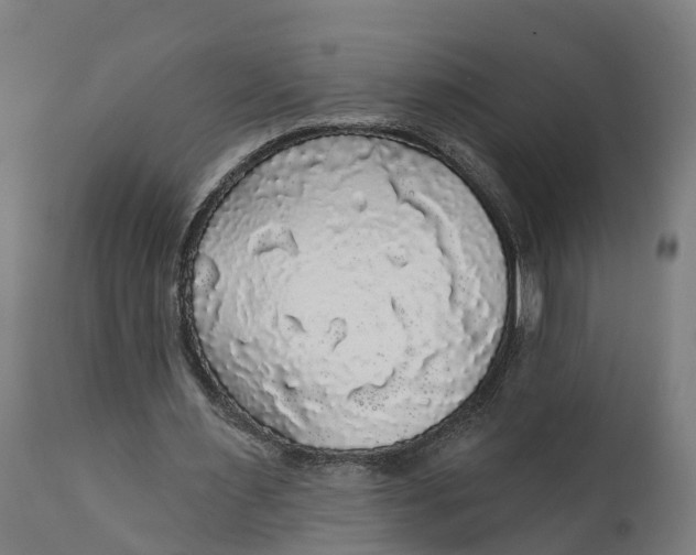 X0000111590483200908061353