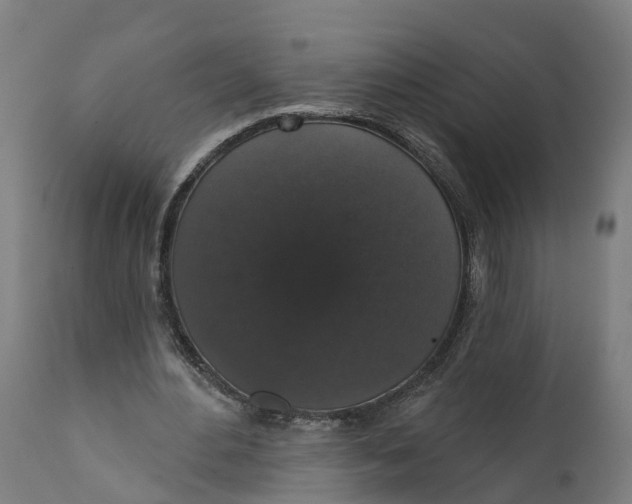 X0000111590484200908061353