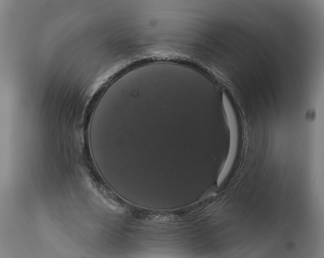 X0000111590488200908061353