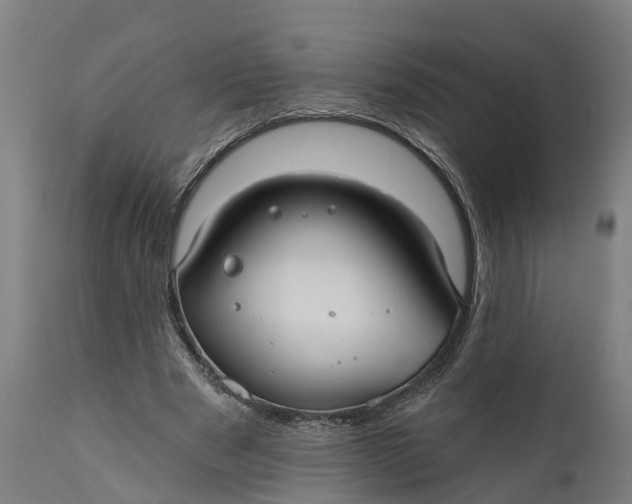 X0000111590489200908061353