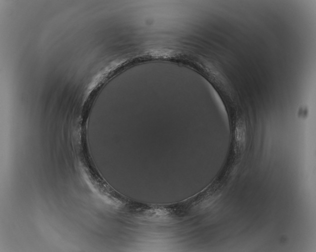 X0000111590492200908061353