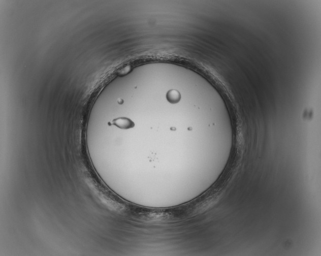 X0000111590493200908061353