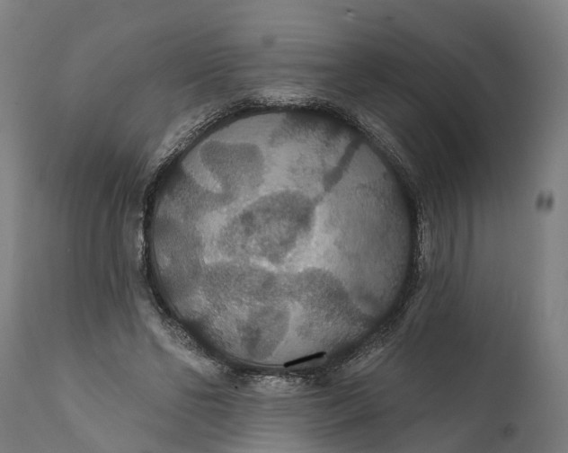 X0000111590494200908061353