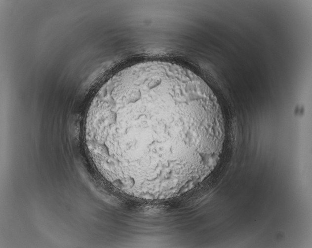 X0000111590495200908061353